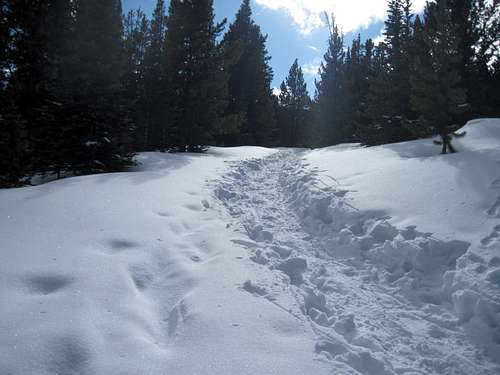 Snow trench toward Democrat Mountain