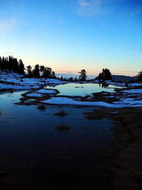 Sunrise Goat Flats // Mt. Rainier view