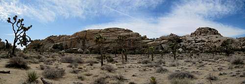 Day Trip to Joshua Tree National Park