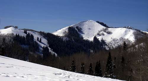 Reynolds Peak 
