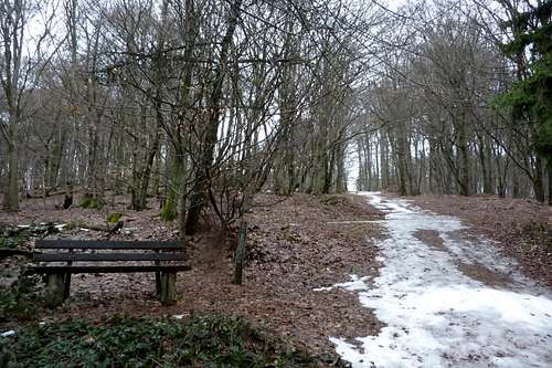 Bench on the Trail