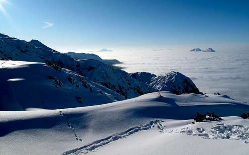 Above-the-clouds scenery on the Untersberg, with animal tracks in the snow