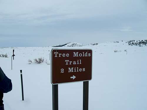 Tree Molds Sign