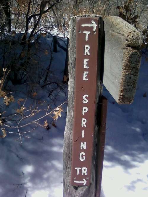 Tree Spring Trail