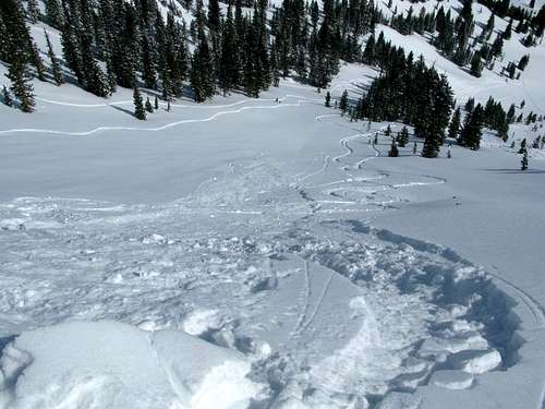 Sluff avalanche in Days Fork