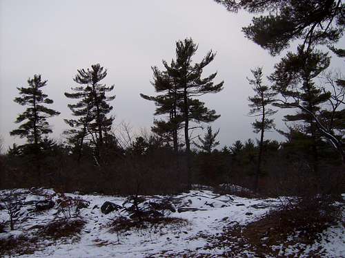 Middlesex Fells in winter