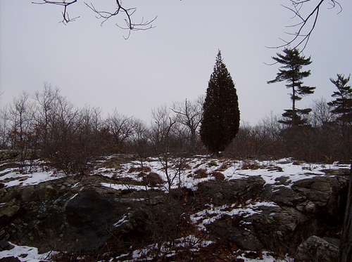 Middlesex Fells in winter