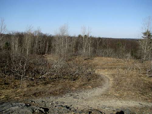 Trail up Winthrop Hill