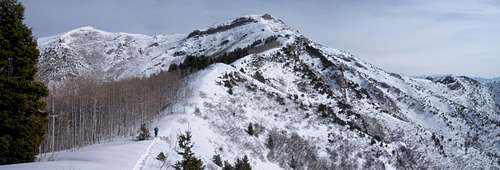 Nelson Peak Ridgeline