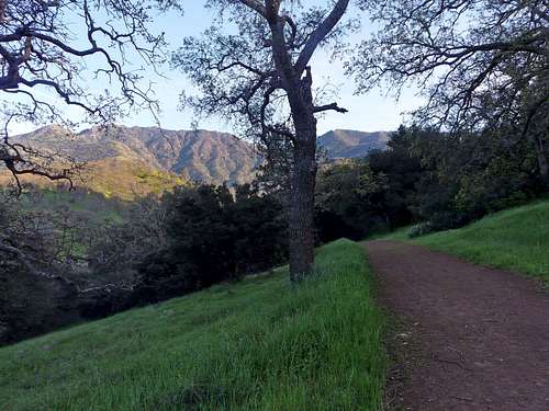 Mt. Diablo from Back Creek Road