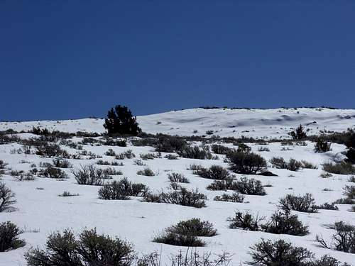 Upper slopes of Spanish Springs Peak in March 2010