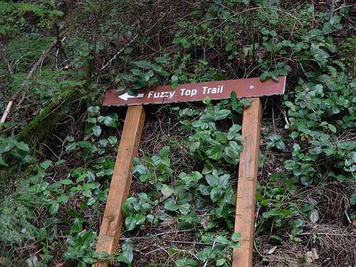 Fuzzy Top Trail