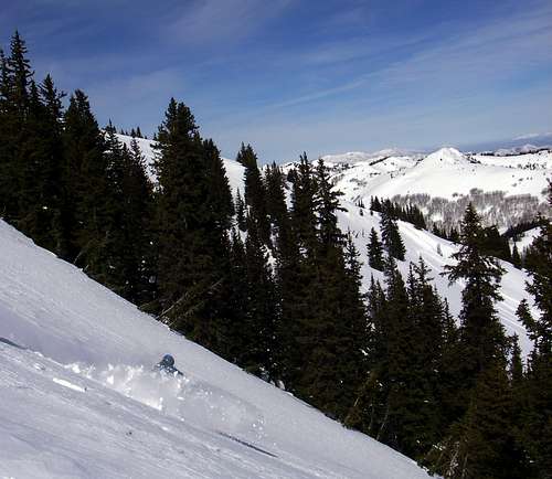 Troy skiing 10,420