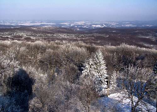 East view from Nagy-Tubes (Mecsek Mountain)