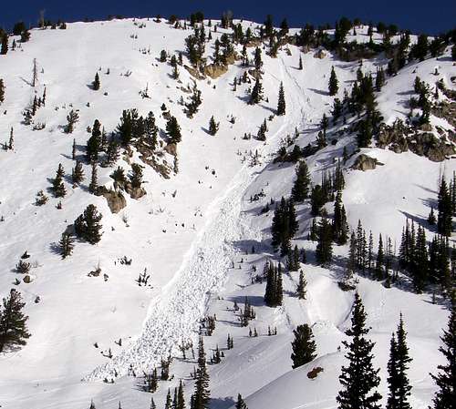 Grizzly Cup avalanche