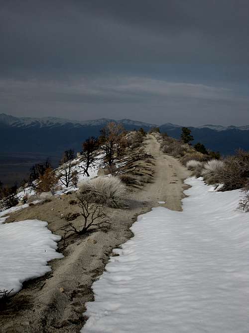 Snowy Ridge