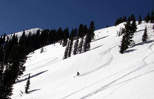 Troy skiing Peak 10,420
