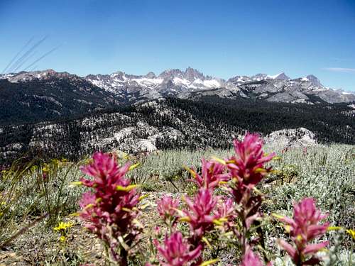 Indian Paintbrush and the Minarets