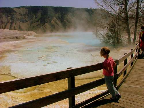 Yellowstone Images.