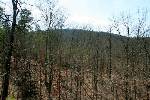 Stegall Mountain from Kelly Hollow