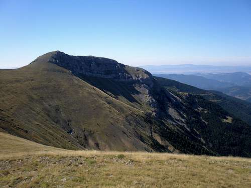 The north face of Mesola