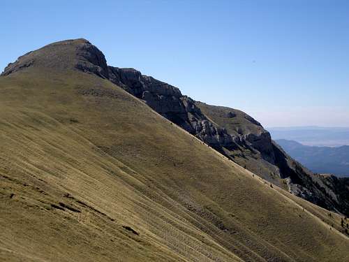 North face of Mesola