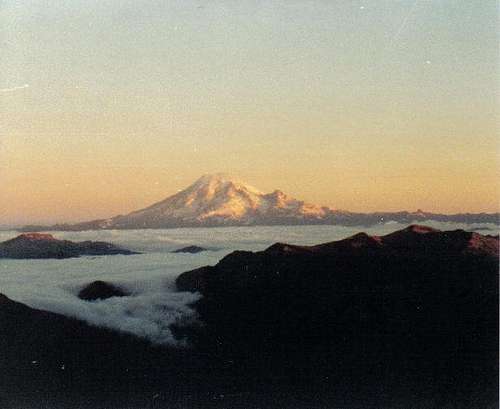 Mt. Rainier from Bear Cr. Mtn.