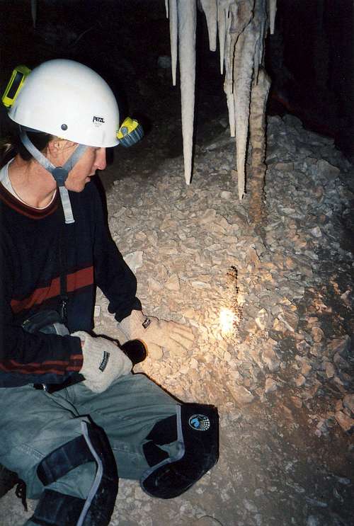 Speleothems in Corkscrew Cave