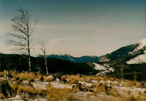 First alpine hills from east