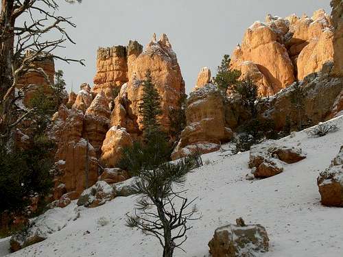 Light in Red Canyon