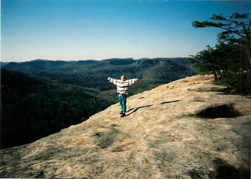 On the sandstone cliff-sides of Auxier Ridge