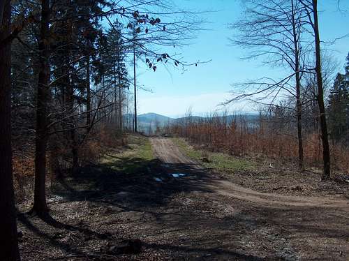 Trail on Kalenica