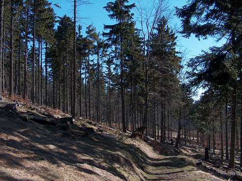 Trail on Kalenica