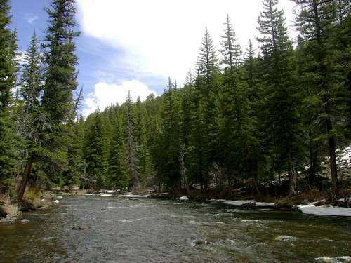the Mighty Taylor River