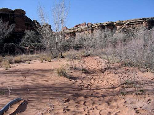 The Trail Enters Lost Canyon at this Spot