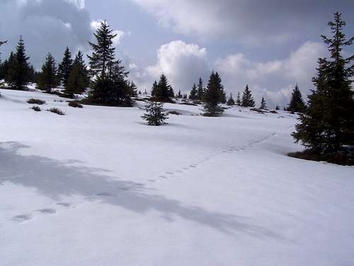 The east slope of Jezerski vrh