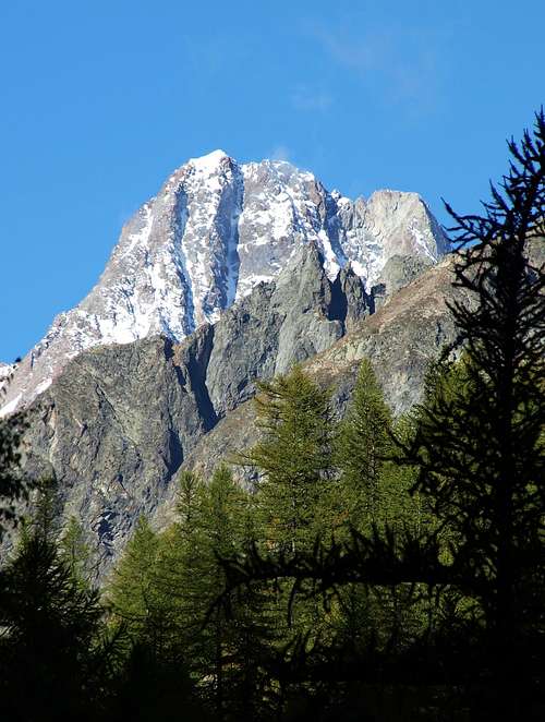 Aiguille des Glaciers (3817m) from the Seigne Pass 