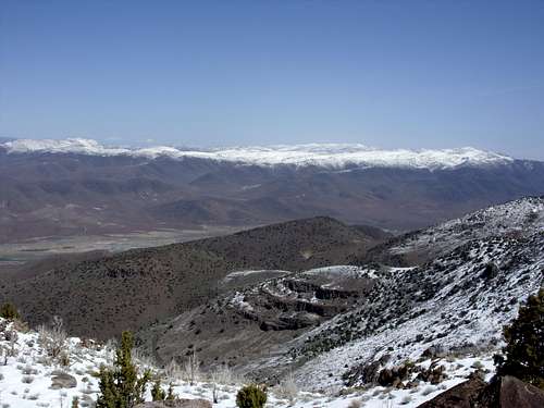 View northeast to the Pah Rah Range from Clark Mountain