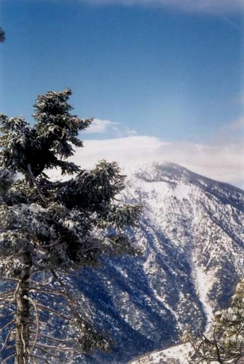 Mt Baden Powell in January...