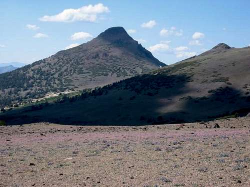 Stanislaus Peak, as seen from...