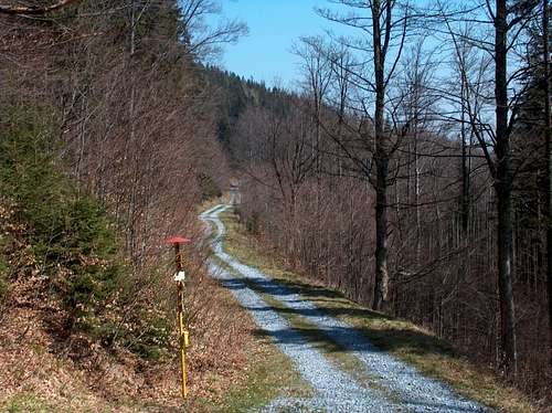 The long and winding (Czech) road...