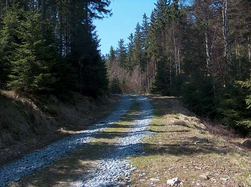 The long and winding (Czech) road...