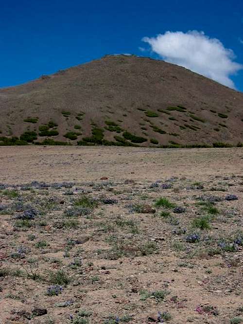 Sonora Peak, as seen on the...