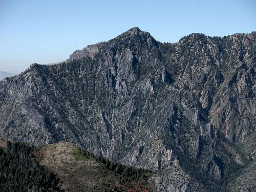 Willow Canyon Peak (Dharma Peak)