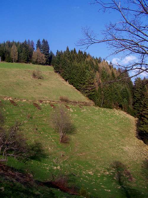 The steep southern hillside of Križevski vrh