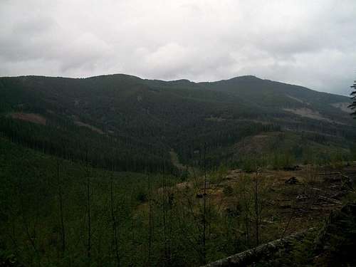 Capitol State Forest-May 2nd, 2010