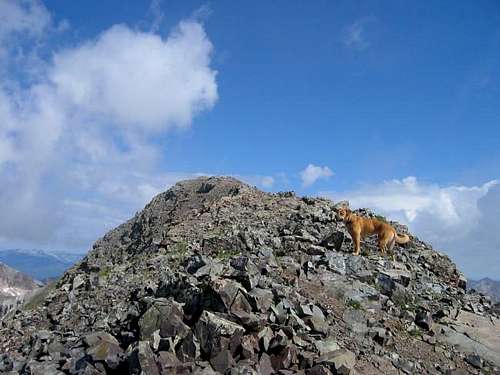 My dog Sopris on the ridge...