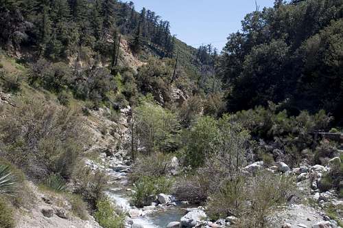 San Antonio Canyon