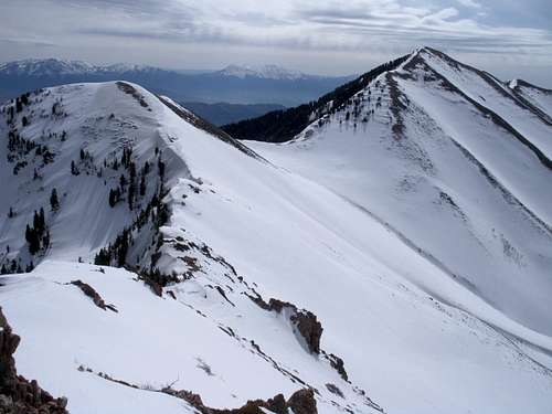 View of Lowe Peak