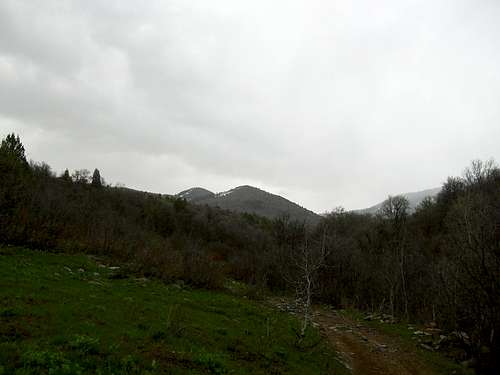 Sugar Creek Mountain and the Trail
